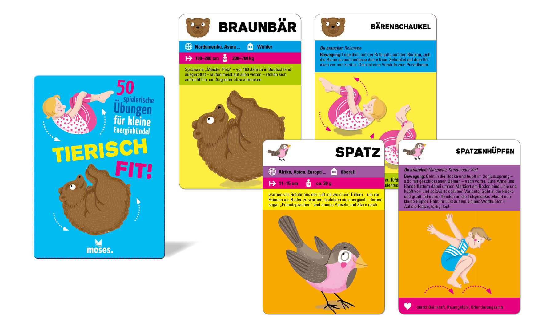 50 Karten, Tierisch fit, Beschäftigung für Kinder, Kartenset, Illustration und Gestaltung Isabel Große Holtforth